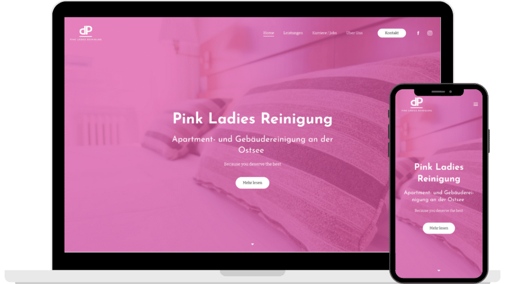 Webdesign Pink Ladies Reinigung von Baltic DigiTech | Agentur für Webdesign und Digitalisierung
