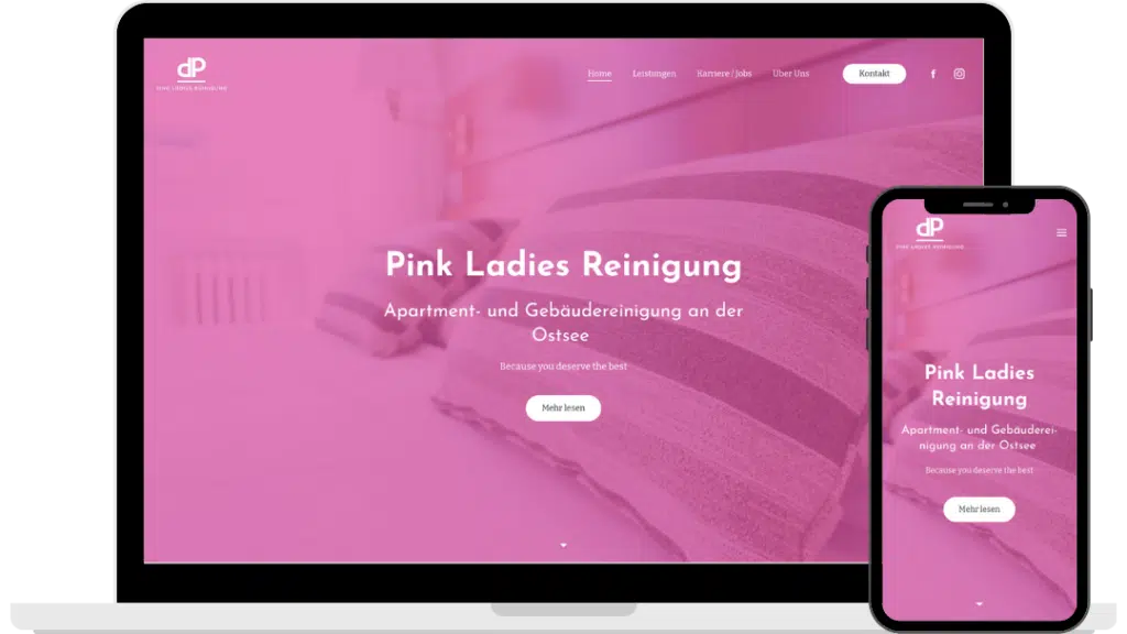 Webdesign Pink Ladies Reinigung von Baltic DigiTech | Agentur für Webdesign und Digitalisierung