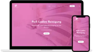 Webdesign Pink Ladies Reinigung von Baltic DigiTech | Agentur für Webdesign und Digitalisierung